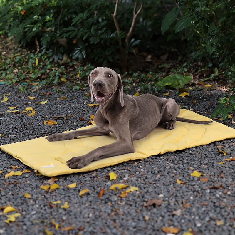 Taşınabilir Pet Mat katlanabil - Outdoor Camping Dog Fence incelemesi ve fiyatı